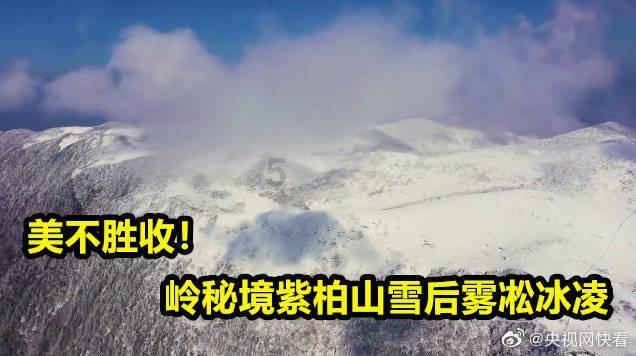 救援小洋葱