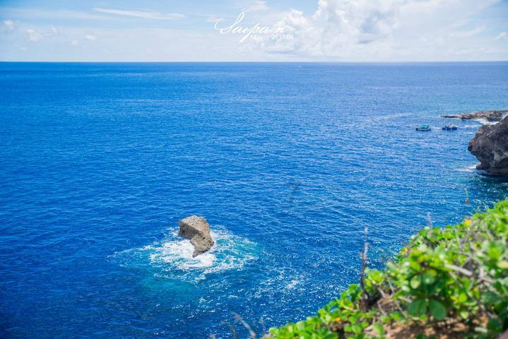 大鹰森林逃生