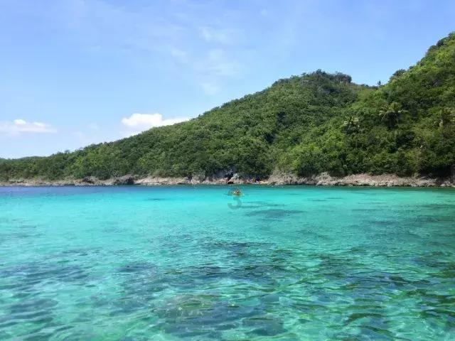 茂密丛林逃生